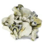 White Burtha Mushrooms