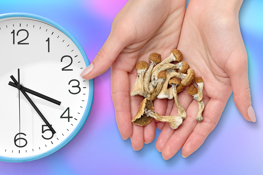 two hands holding psychedelic mushrooms next to a clock to represent the duration of a shroom trip